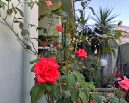 Vacanze Efisio E Vilma Holiday home *