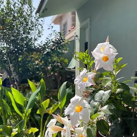 Vacanze Efisio E Vilma * Santa Giusta